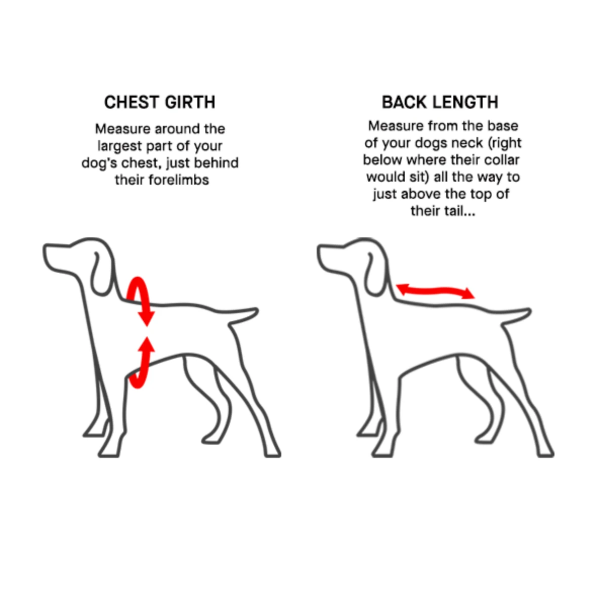 Canada Pooch Alaskan Army Parka Grey Mix by Canada Pooch