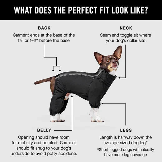 Canada Pooch The Snow Suit-Black by Canada Pooch