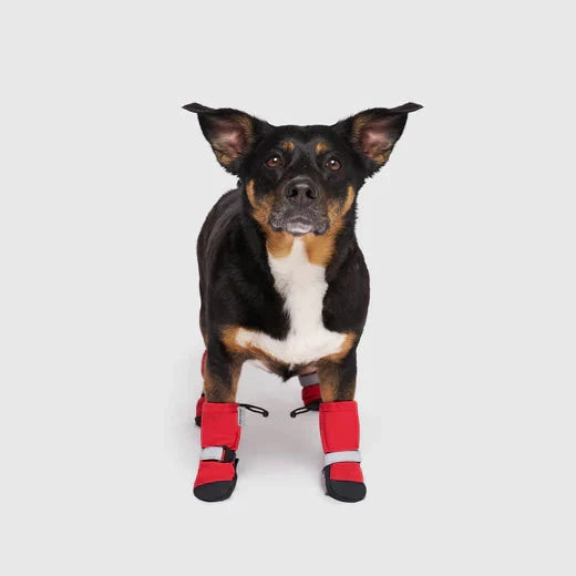 Canada Pooch Soft Shield Boots by Canada Pooch