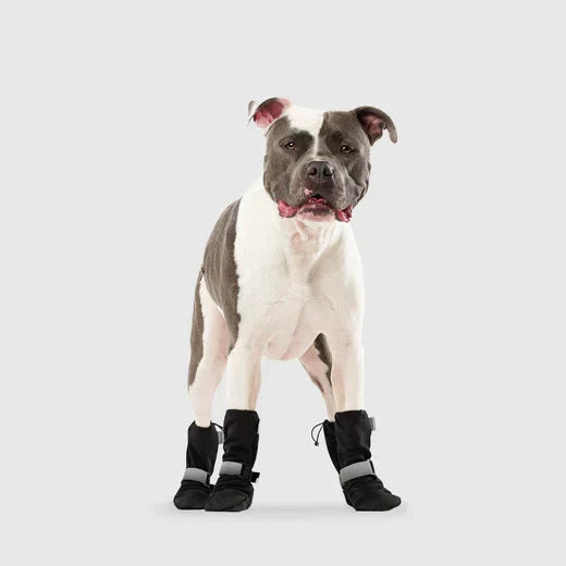 Canada Pooch Soft Shield Boots by Canada Pooch