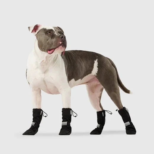 Canada Pooch Soft Shield Boots by Canada Pooch
