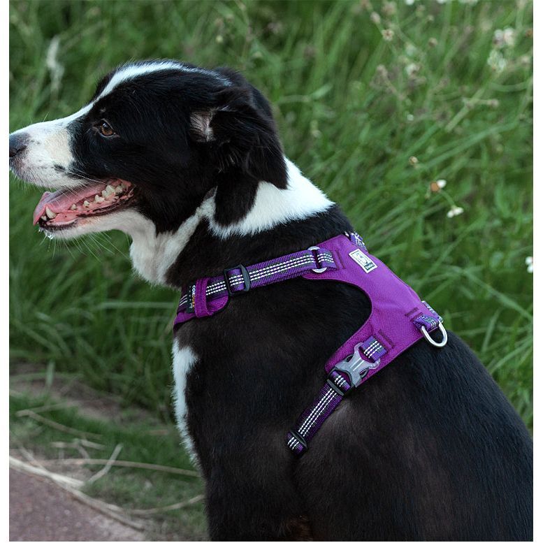 Truelove Ultra Light Safety Reflective Harness