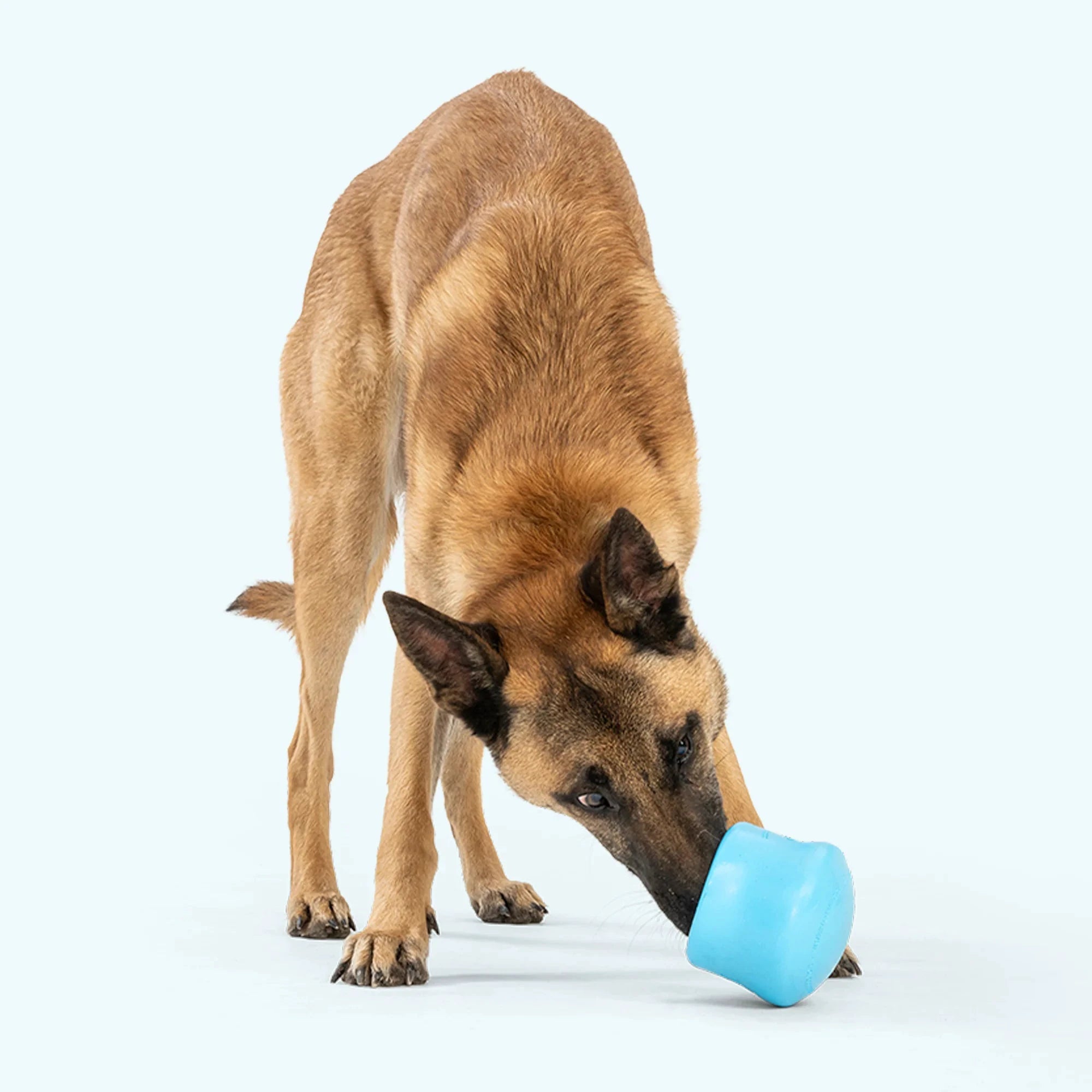 West Paw Treat Toys ZoGoFlex Toppl by West Paw