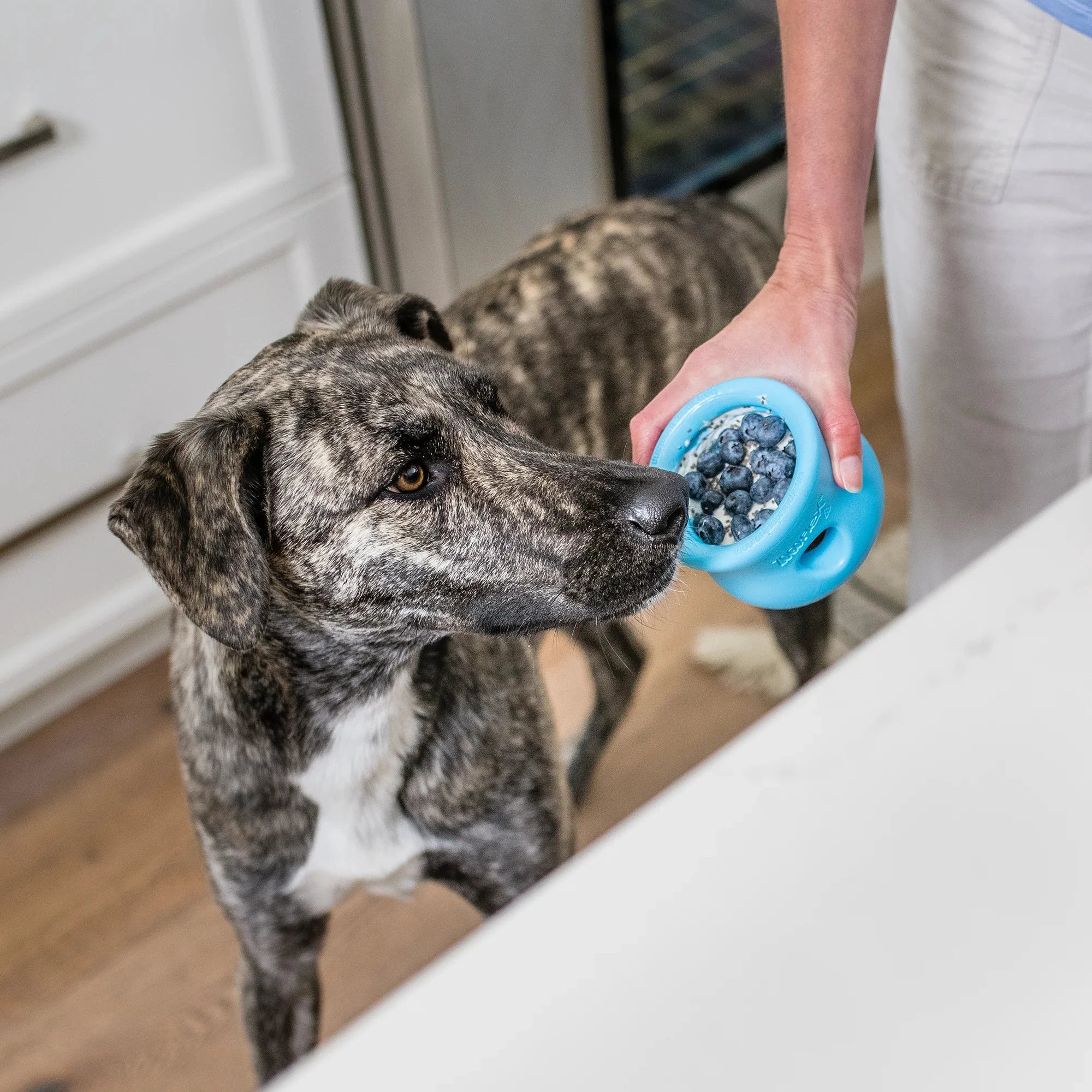 West Paw Treat Toys ZoGoFlex Toppl by West Paw