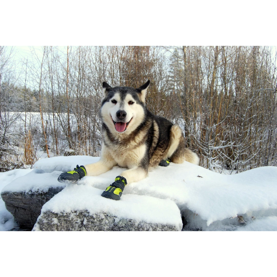 Truelove Best Winter Boots by True Love
