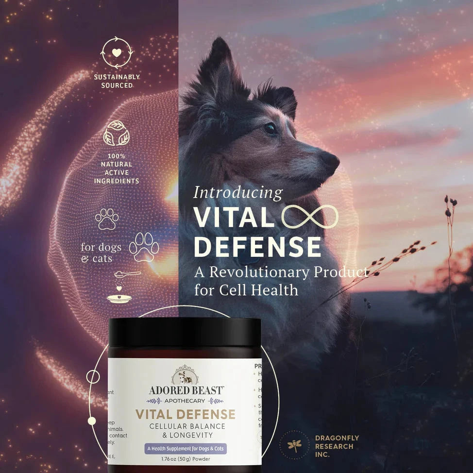 Adored Beast - Vital Defense | Cellular Support by Adored Beast