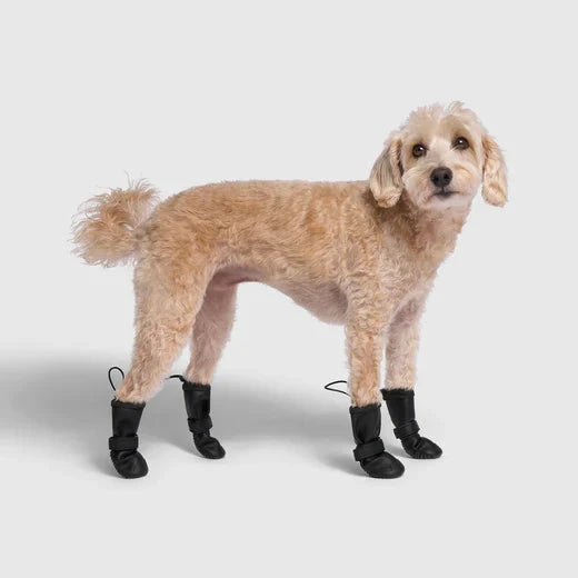 Canada Pooch Waterproof Rain Boots-Black by Canada Pooch