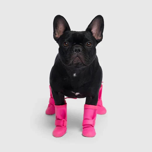 Canada Pooch Waterproof Rain Boots-Pink by Canada Pooch