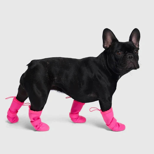 Canada Pooch Waterproof Rain Boots-Pink by Canada Pooch