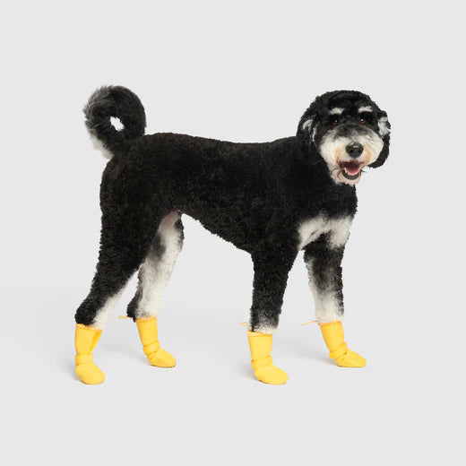 Canada Pooch - Waterproof Rain Boots (Yellow)