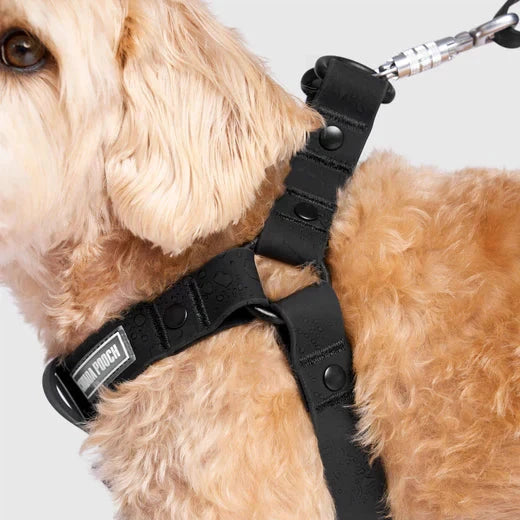 Canada Pooch Waterproof Harness-Black by Canada Pooch