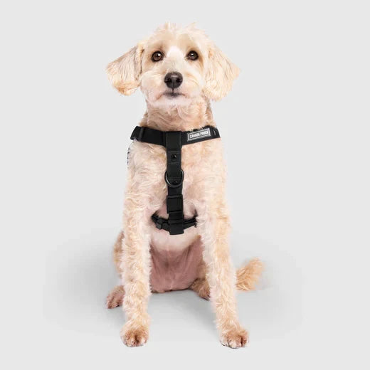 Canada Pooch Waterproof Harness-Black by Canada Pooch