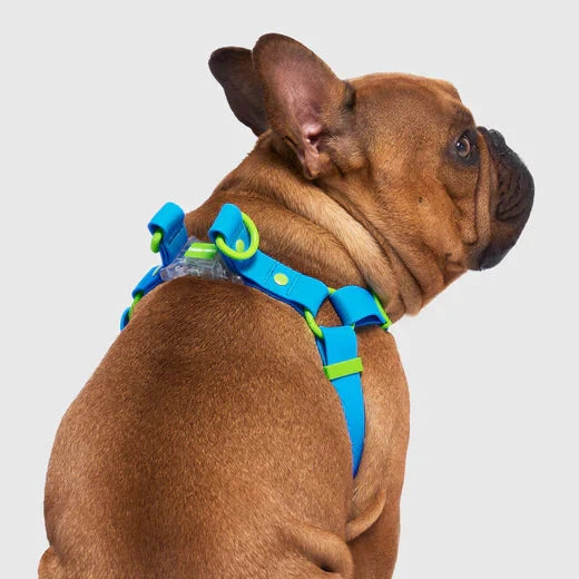 Canada Pooch Waterproof Harness-Blue by Canada Pooch
