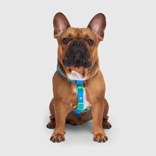 Canada Pooch Waterproof Harness-Blue by Canada Pooch