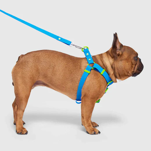 Harnais imperméable Canada Pooch - Bleu