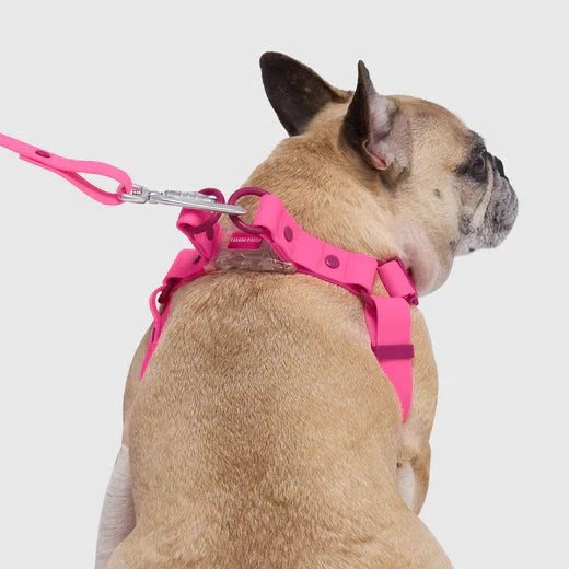 Canada Pooch Waterproof Harness-Pink by Canada Pooch