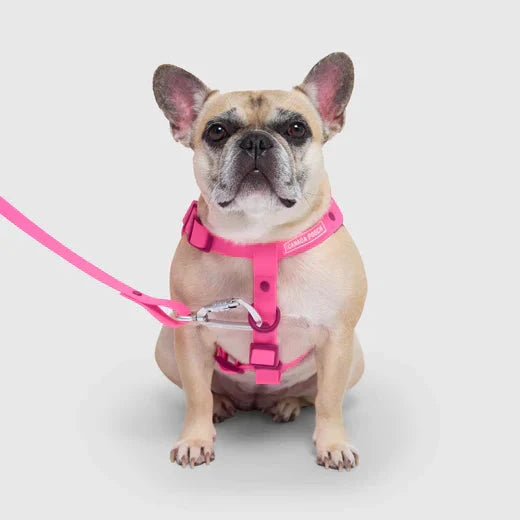 Canada Pooch Waterproof Harness-Pink by Canada Pooch