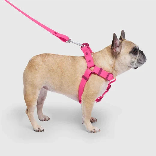 Canada Pooch Waterproof Harness-Pink by Canada Pooch