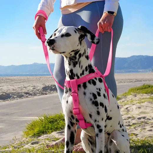 Canada Pooch Waterproof Harness-Pink by Canada Pooch
