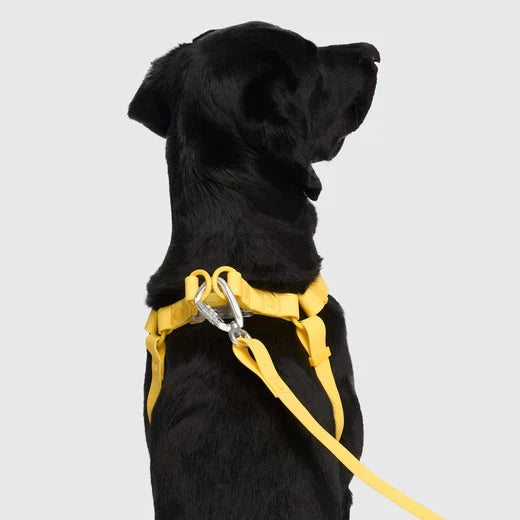 Canada Pooch Waterproof Harness-Yellow by Canada Pooch