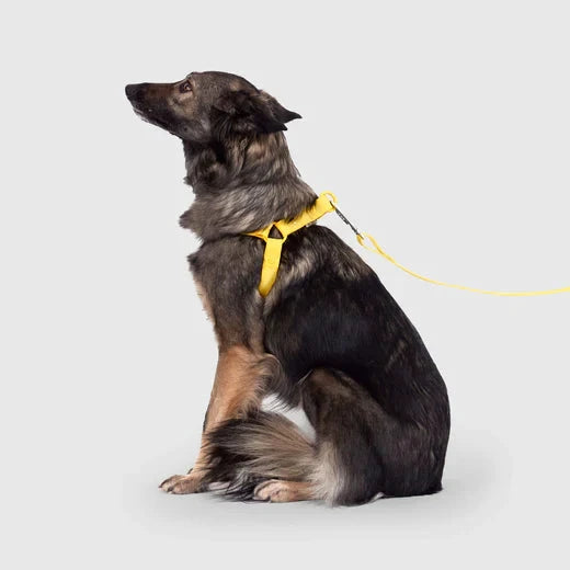 Canada Pooch Waterproof Harness-Yellow by Canada Pooch