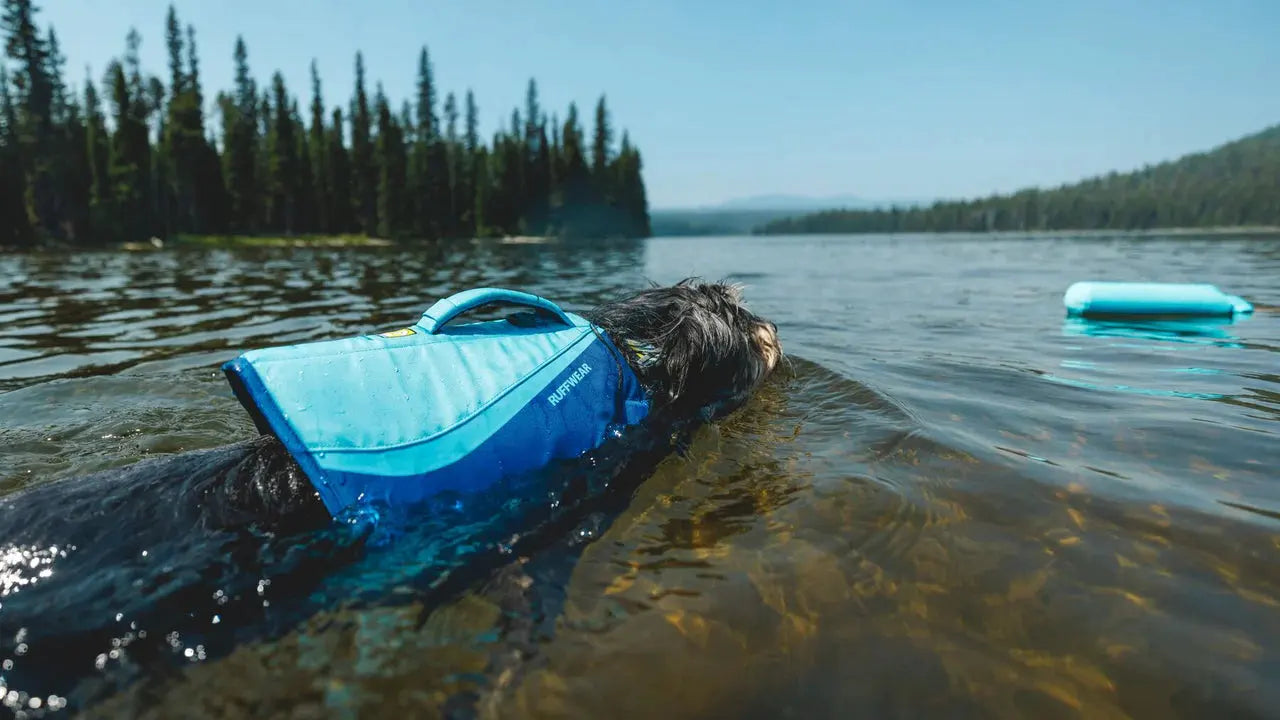 Ruffwear Float Coat™ Dog Life Jacket by Ruffwear