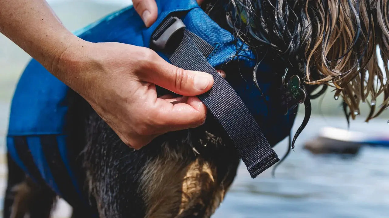 Ruffwear Float Coat™ Dog Life Jacket by Ruffwear