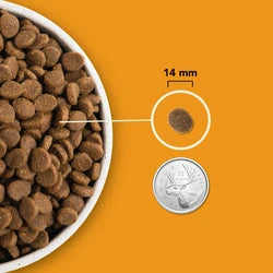 ACANA Highest Protein Wild Prairie™ Dog Dry Food by ACANA