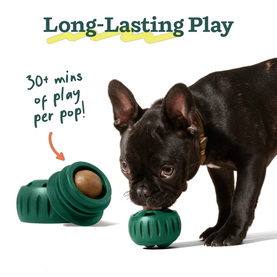 Woof Pupsicle Pops by Woof
