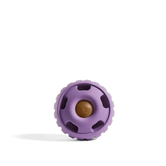 Woof The Pupsicle by Woof