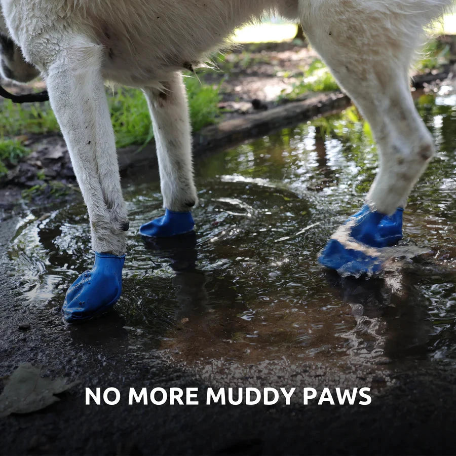 PawZ Rubber Dog Boots, 12 Boots (1 pack) by Pawz