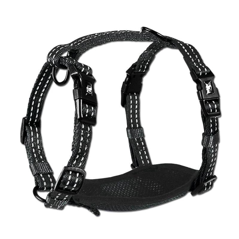 PawsNatural Alcott Harness by PawsNatural Pet Store