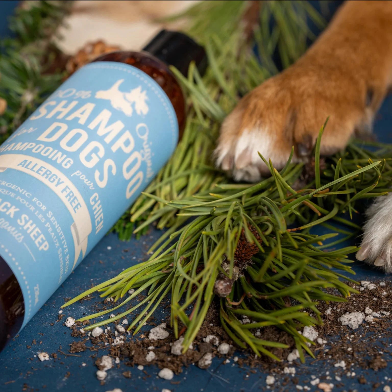 BLACK SHEEP -Allergy Free Organic Dog Shampoo by Black Sheep