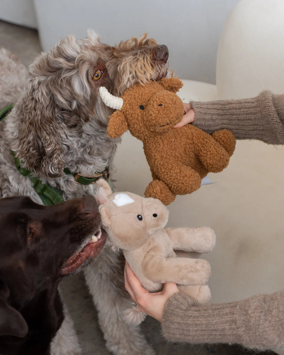 Dexypaws Plush Dog Toy - Cow 8"