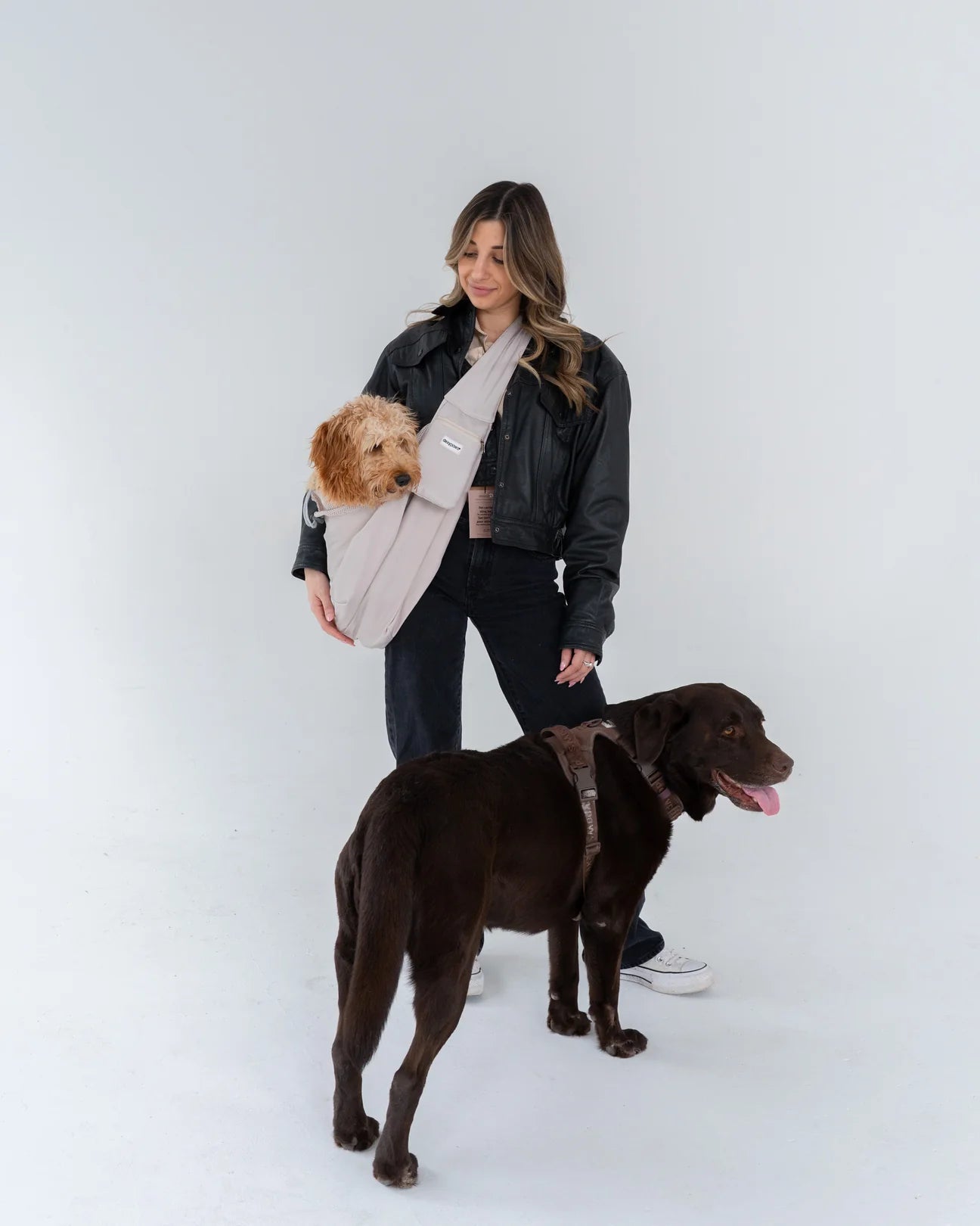 Dexypaws Beige Pet Travel Bag