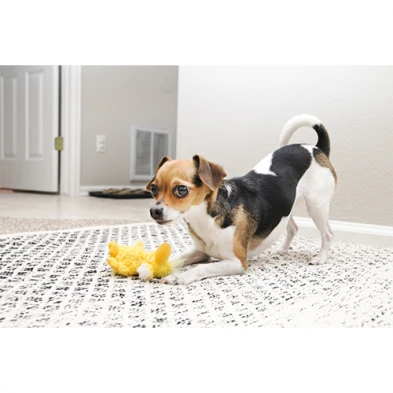 Kong® Dr. Noyz Duck Dog Toy X-Small by KONG