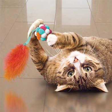 Kong® Cat Active Bubble Ball Assorted Cat Toy