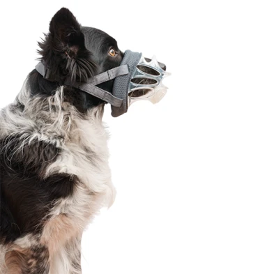 Company of Animals® Baskerville INVISA Muzzle by Company of Animals