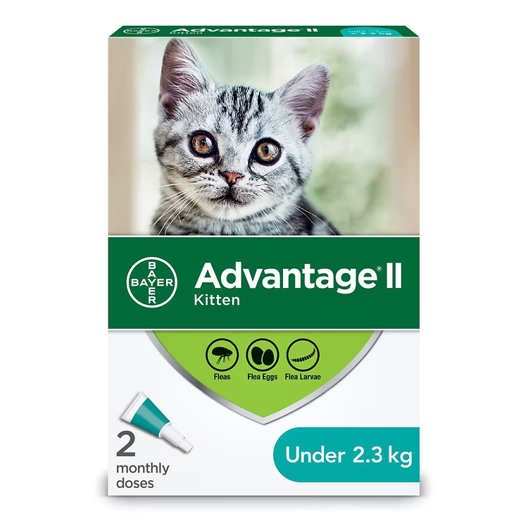 Advantage II Flea Protection for Cats by BEAM Pharmacy