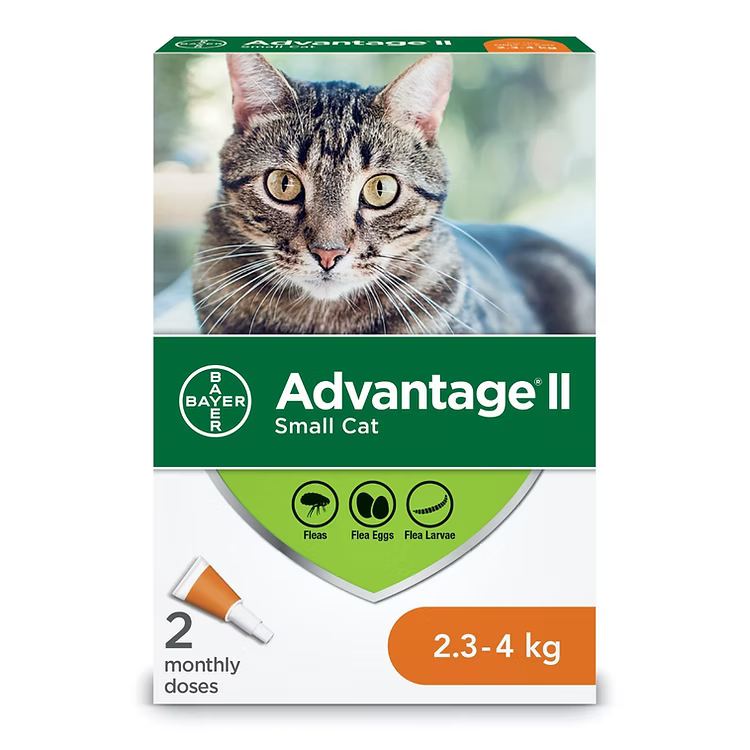 Protection anti-puces Advantage II pour chats
