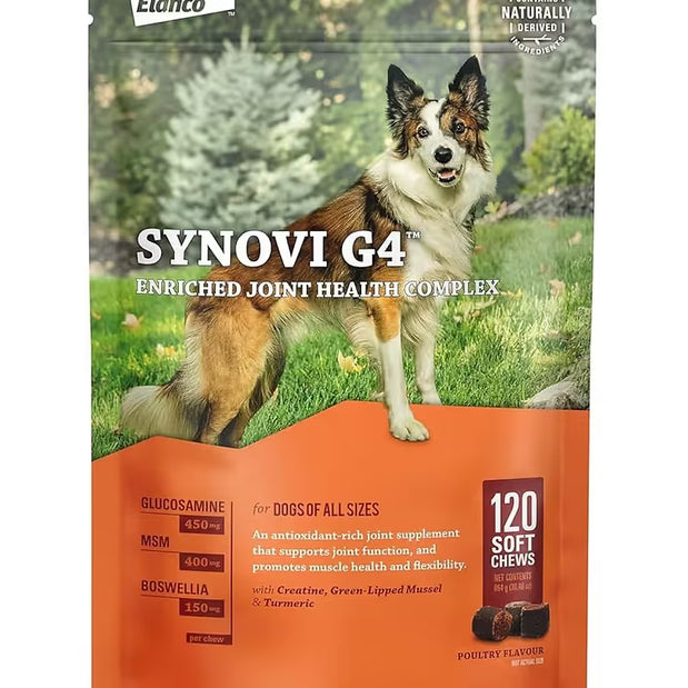 Synovi G4 Complément alimentaire pour articulations de chien