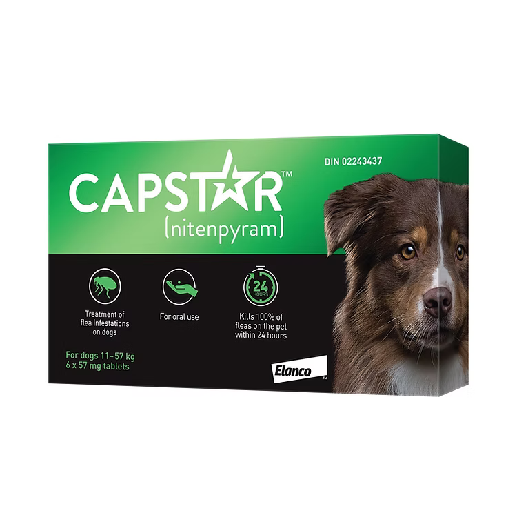 Capstar Oral Flea Treatment for Medium & Large Dogs( 11-57kg)