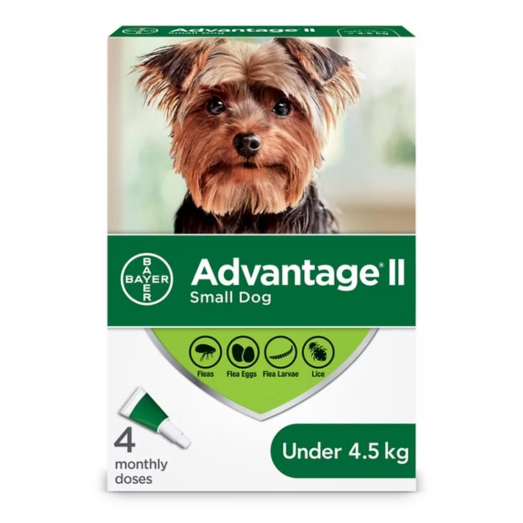 Advantage II Flea Treatment for Small Dogs (< 4.5 kg) by BEAM Pharmacy