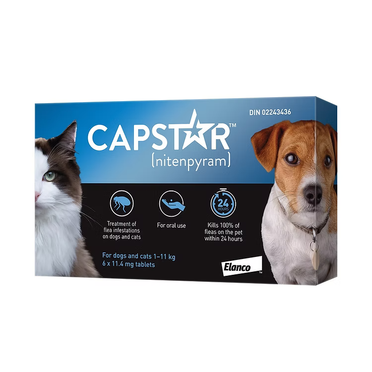 Capstar Oral Flea Treatment for Small Dogs (< 11kg) and Cats