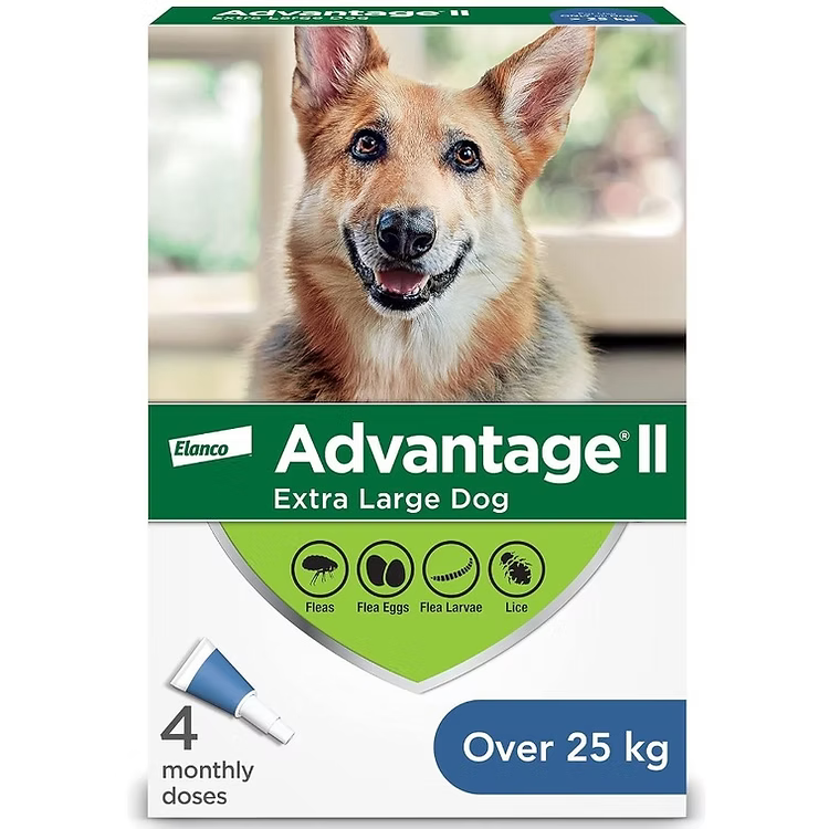 Advantage II Flea Treatment for XLarge Dogs (25 kg) by BEAM Pharmacy