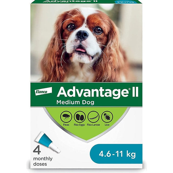 Advantage II Flea Treatment for Medium Dogs (4.6 - 11 kg)