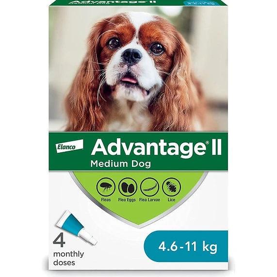 Advantage II Flea Treatment for Medium Dogs (4.6 - 11 kg) by BEAM Pharmacy