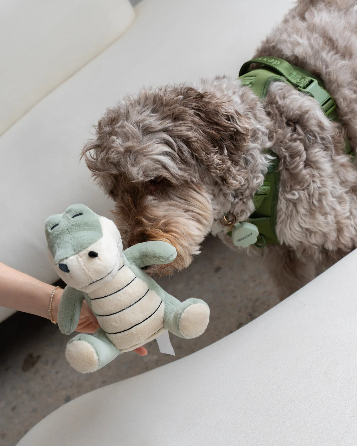 Dexypaws Plush Dog Toy - Crocodile 8"