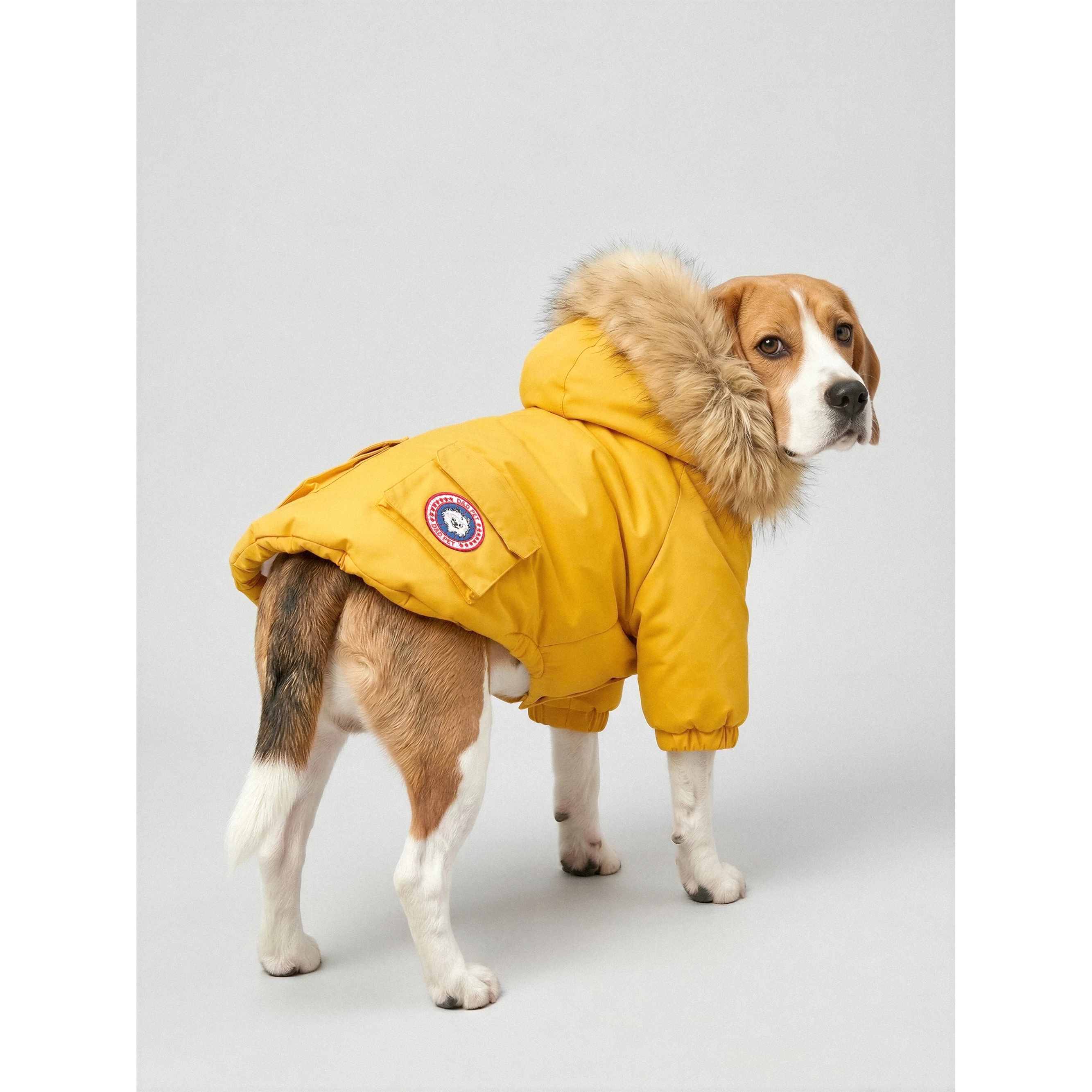 D&D Warm Dog Winter Jacket - Yellow by PawsNatural Pet Store