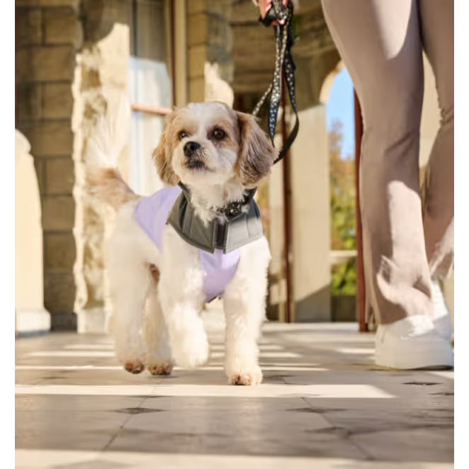 RC Pets Vista Coat by RC Pets
